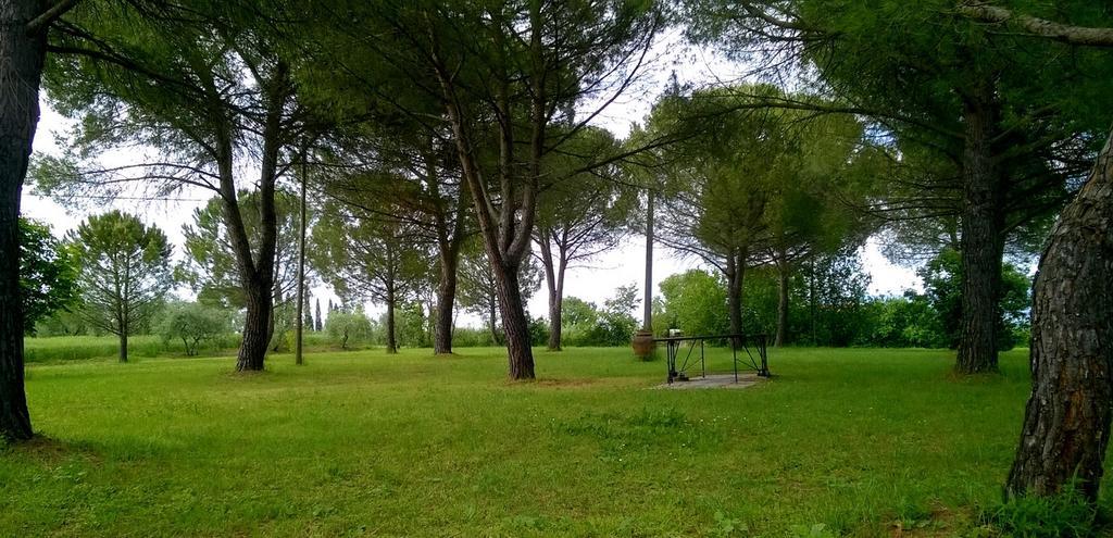 Agriturismo Podere Caggiolo - Swimming Pool & Air Conditioning Marciano della Chiana Luaran gambar